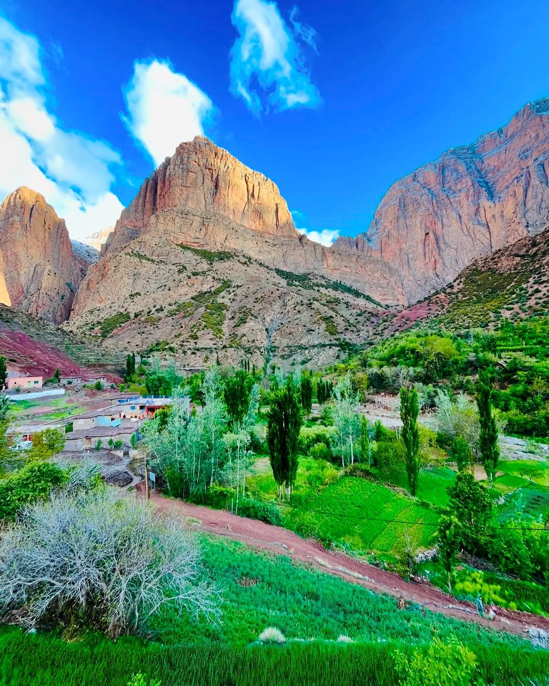 Moroccan Mountain Odyssey